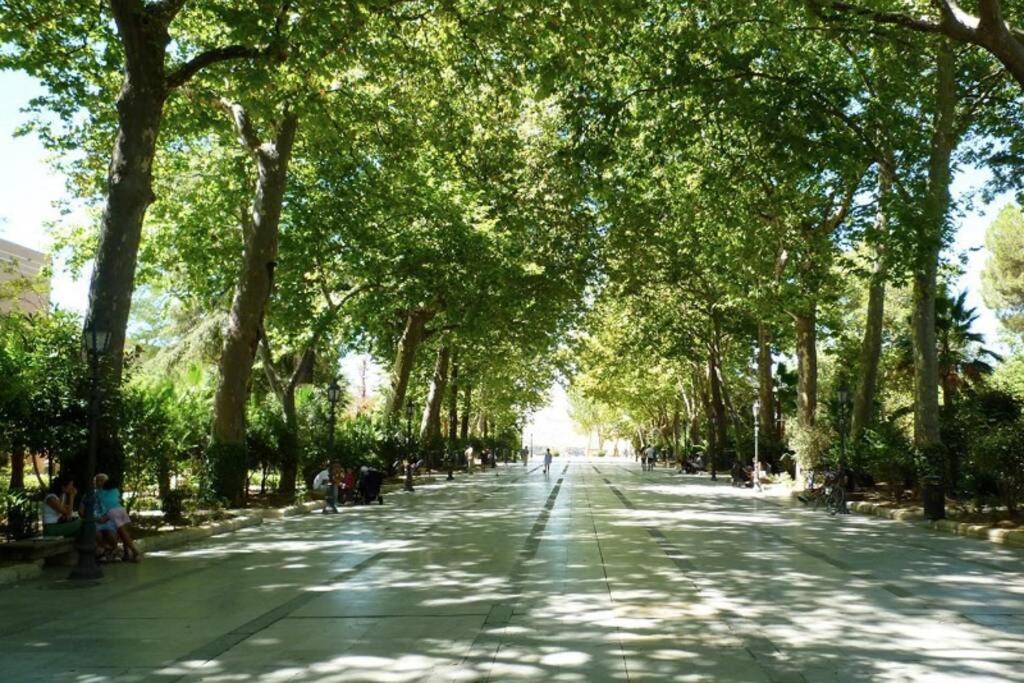 Flat In Front Of Alameda Del Tajo *